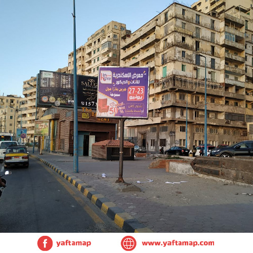 تي بول - سبورتنج - اسكندرية
