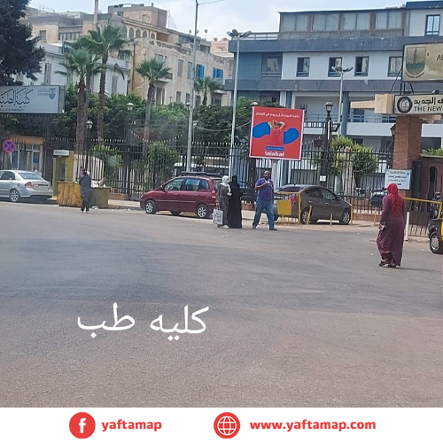 تى بول - الاسكندرية - كلية طب