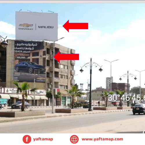 رووف توب + حائط - طنطا