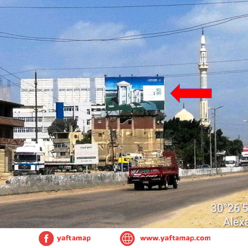 شاسية  - بنها