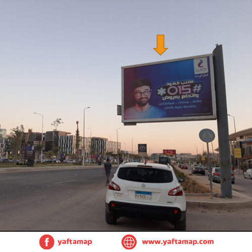 تى بول - تيفوليى دوم - الشيخ زايد