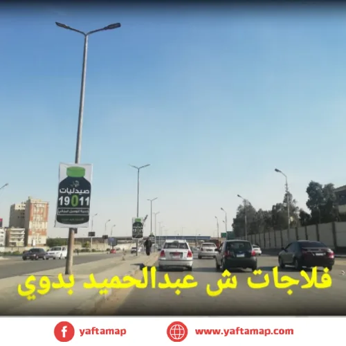 FLAG - ABDEL HAMEED BADAWY ST