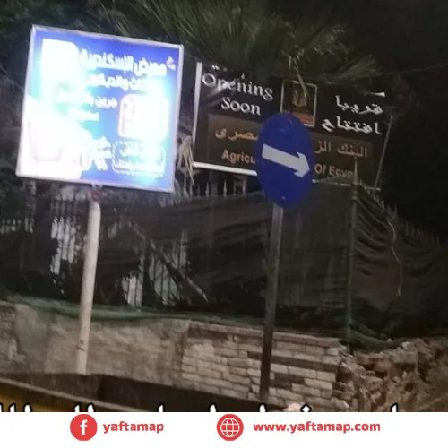 T-POLE - ALEXANDRIA - EL BATALSA - MUHAMMED FOUAD