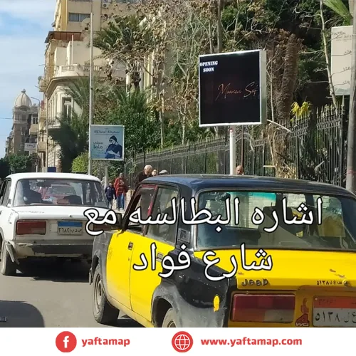 T-POLE - ALEXANDRIA - EL BATALSA - MUHAMMED FOUAD - Image 2